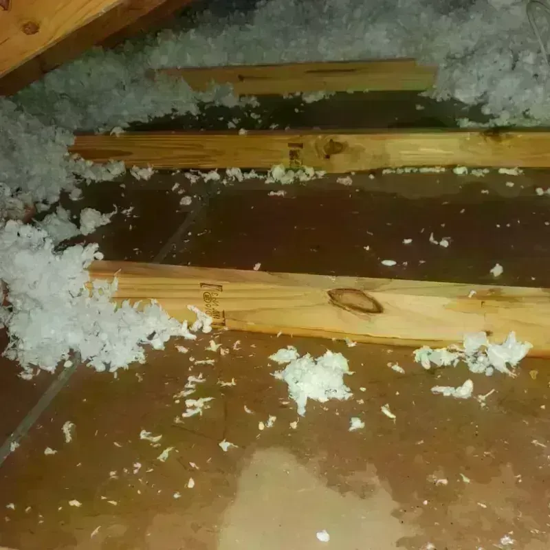 Attic Water Damage in Rossmoor, CA