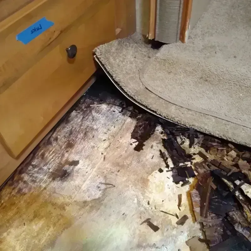 Wood Floor Water Damage in Rossmoor, CA